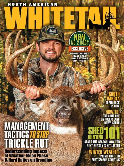 Cover image for North American Whitetail
